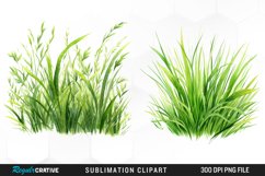Watercolor Grass Graphics Clipart Product Image 1