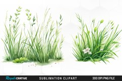 Watercolor Grass Graphics Clipart Product Image 1