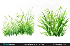 Watercolor Grass Graphics Clipart Product Image 1