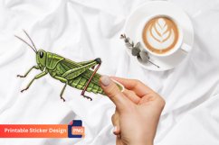 Grasshopper Sticker, Grasshopper Wall Art Sticker Product Image 1