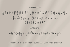 Grassland Script Product Image 10