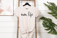 Grassland Script Product Image 5