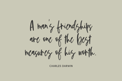 Grassland Script Product Image 8