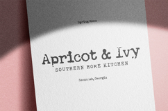 Grassroots Typewriter Font Product Image 3