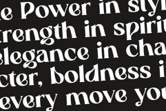 Gravida - Serif Display Typeface Product Image 7