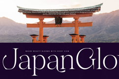 Gravite Elevaty - Modern Display Serif Font Product Image 3