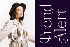 Gravite Elevaty - Modern Display Serif Font Product Image 6