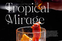 Gravite Elevaty - Modern Display Serif Font Product Image 7