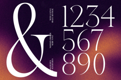 Gravite Elevaty - Modern Display Serif Font Product Image 8