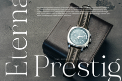 Gravite Elevaty - Modern Display Serif Font Product Image 9