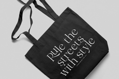 Gravite Elevaty - Modern Display Serif Font Product Image 11