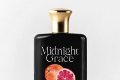 Gravite Elevaty - Modern Display Serif Font Product Image 13