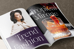 Gravite Elevaty - Modern Display Serif Font Product Image 14