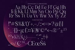 Gravite Elevaty - Modern Display Serif Font Product Image 18