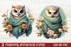 Cozy Green christmas Clipart Sublimation, Christmas PNG Product Image 1