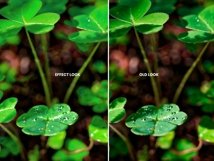 Green Color Photoshop Action Product Image 4