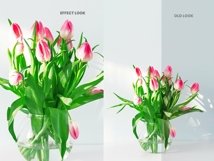 Green Color Photoshop Action Product Image 2