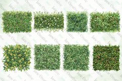 Green Grass And Flowers Bundle Product Image 2