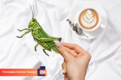 Grasshopper Sticker, Grasshopper Wall Art Sticker Product Image 1