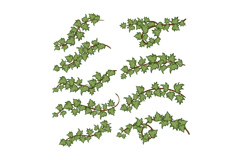 green ivy set cartoon Product Image 1