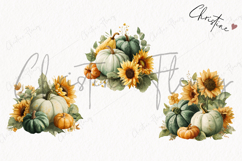 Green Pumpkins and Sunflowers Clipart | Fall Png Product Image 3