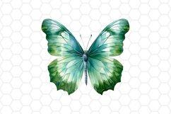 Green Watercolor Butterfly Clipart