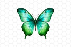 Green Watercolor Butterfly Clipart