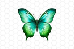 Green Watercolor Butterfly Clipart