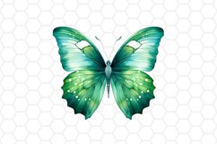 Green Watercolor Butterfly Clipart