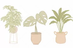Greenery Clipart Mid century Modern House Plants Clipart