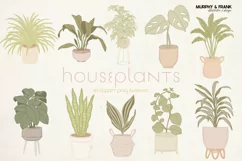 Greenery Clipart Mid century Modern House Plants Clipart