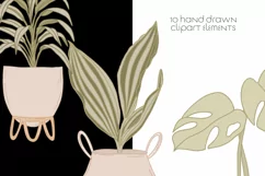 Greenery Clipart Mid century Modern House Plants Clipart