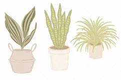 Greenery Clipart Mid century Modern House Plants Clipart