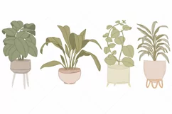 Greenery Clipart Mid century Modern House Plants Clipart