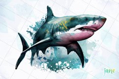 Grey Reef Great White Shark Watercolor Sublimation Product Image 4