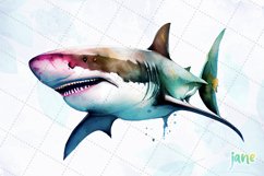 Grey Reef Great White Shark Watercolor Sublimation Product Image 3