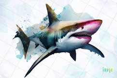 Grey Reef Great White Shark Watercolor Sublimation Product Image 2