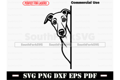 Peering Greyhound Dog SVG PNG DXF EPS PDF Product Image 1