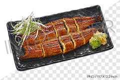 Grilled Eel PNG Watercolor Illustration Clipart korean food Product Image 1