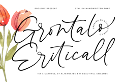 Grontalo Eriticall - Stylish Handwritten Font Product Image 1