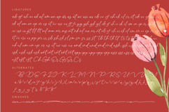 Grontalo Eriticall - Stylish Handwritten Font Product Image 19