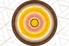 70s Abstract Shapes Clipart PNG Retro Psychedelic Elements Product Image 4