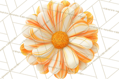 70s Abstract Shapes Clipart PNG Retro Psychedelic Elements Product Image 5