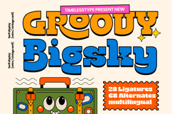 Groovy Bigsky  Retro Vintage Serif Product Image 1