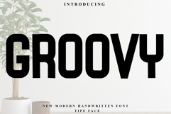 Groovy Product Image 1
