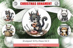 Ornament Grumpy Kitty Product Image 1
