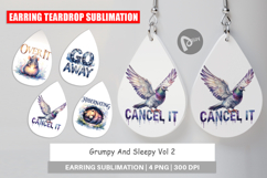 Grumpy &amp; Sleepy Affirmations Earring Product Image 1
