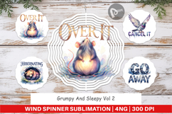 Grumpy Sleepy Affirmations Wind Spinner Product Image 1