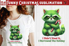 Funny Christmas animal sublimation | Grumpy green raccoon Product Image 1