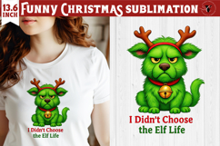 Funny Christmas animal sublimation | Grumpy green dog Product Image 1